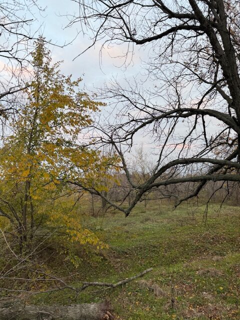 Житлова — лот №1266158