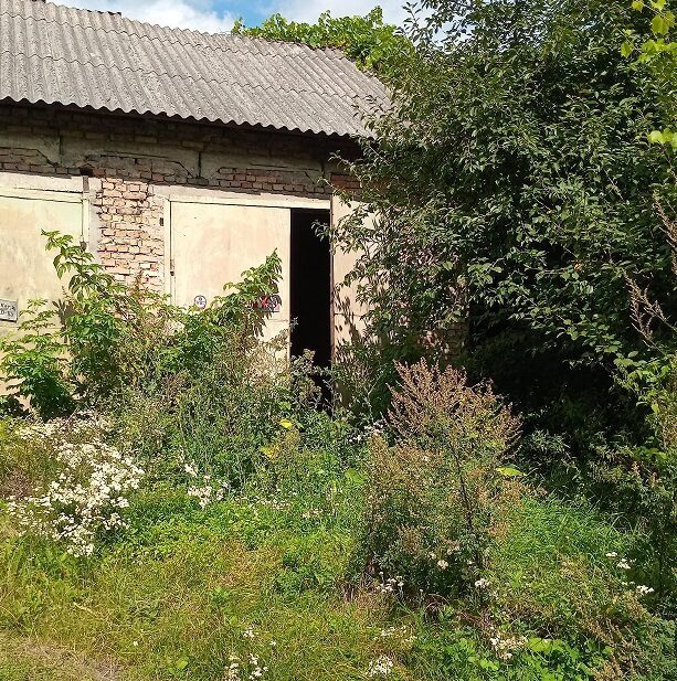 Нежитлова нерухомість (універсал) — лот №1266222