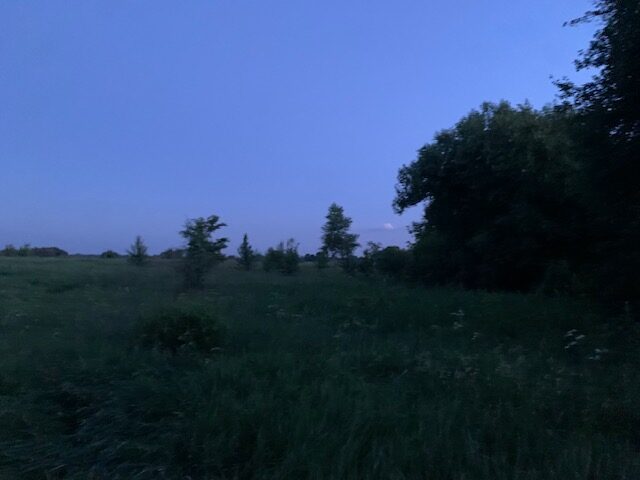 С/Х — лот №1266954