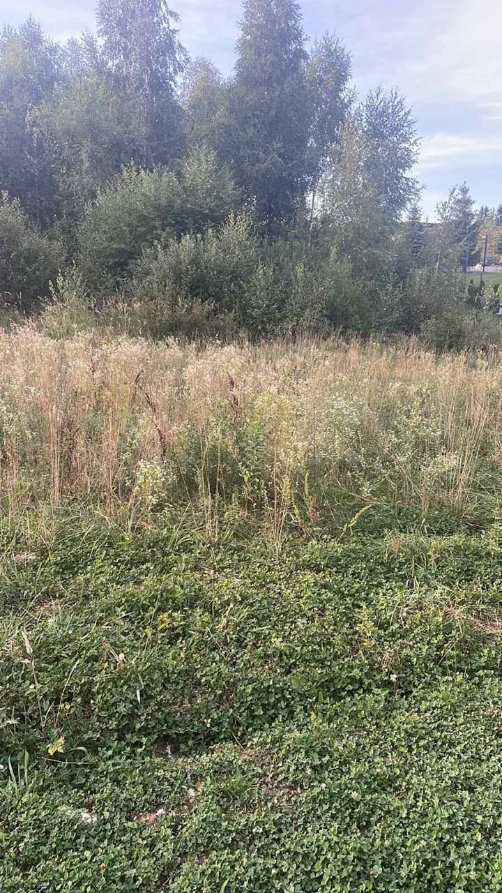 Комерція — лот №1266689