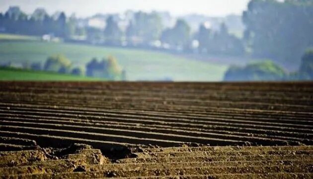 С/Х — лот №1269551