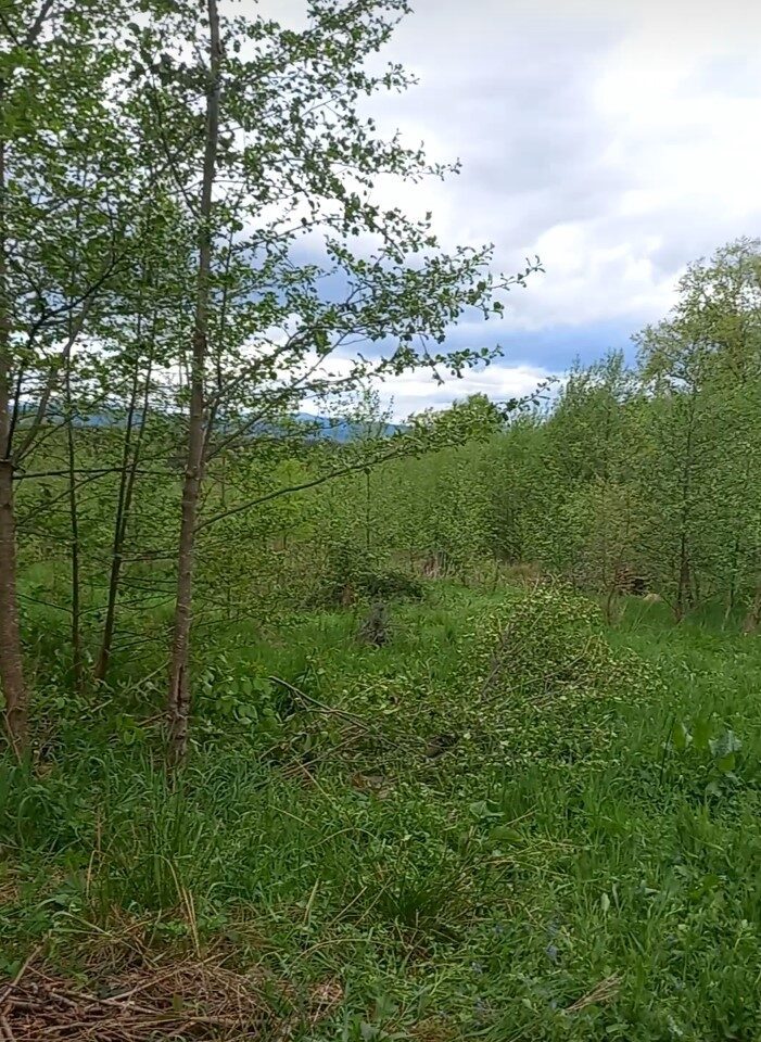 С/Х — лот №1270468