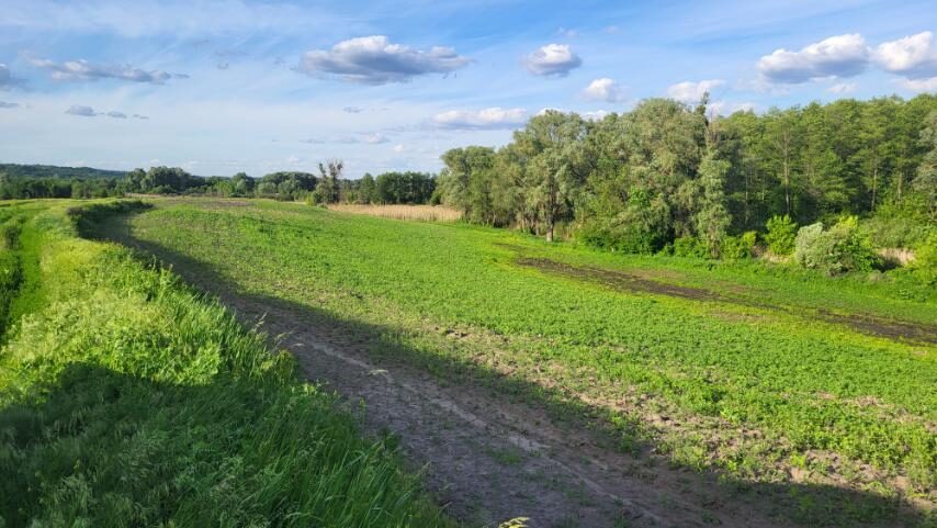 С/Х — лот №1271368