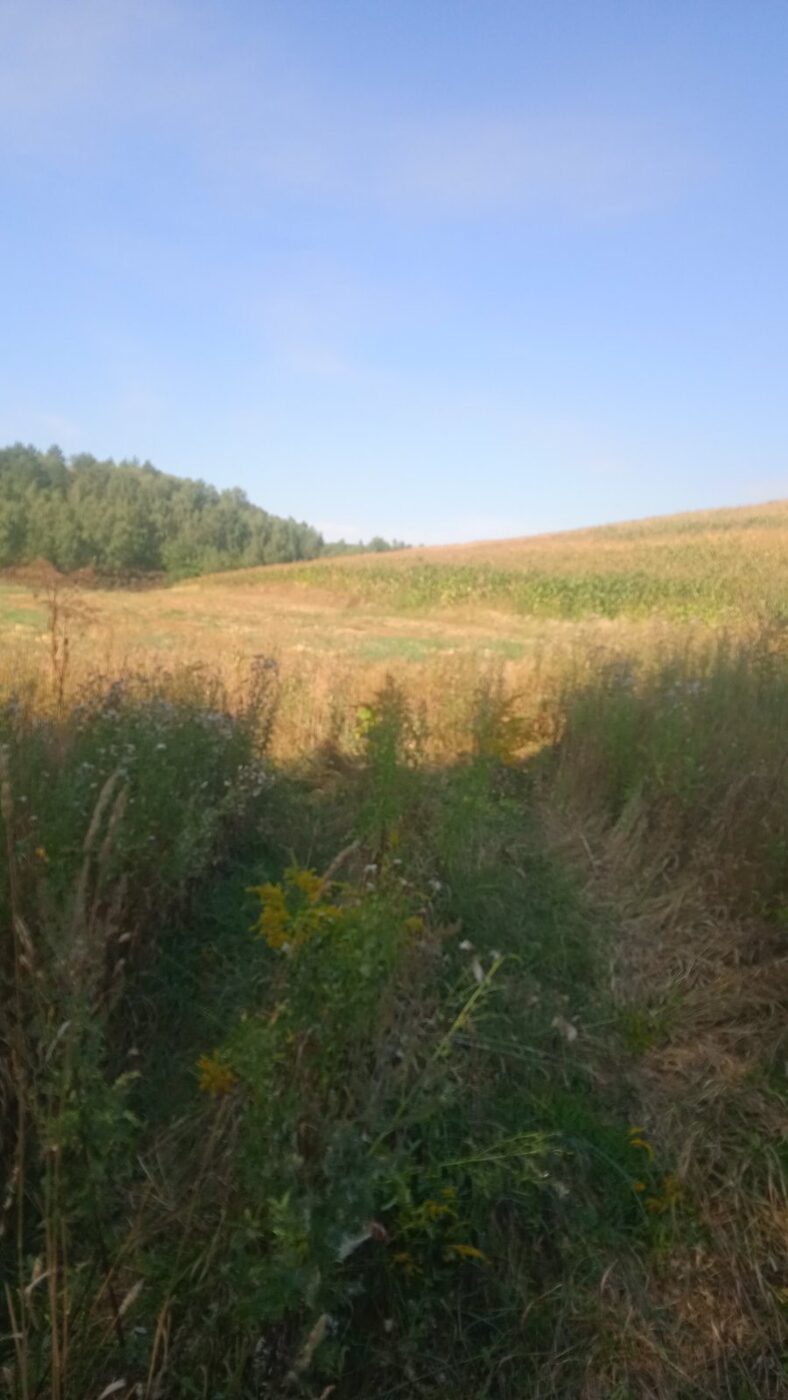С/Х — лот №1272237