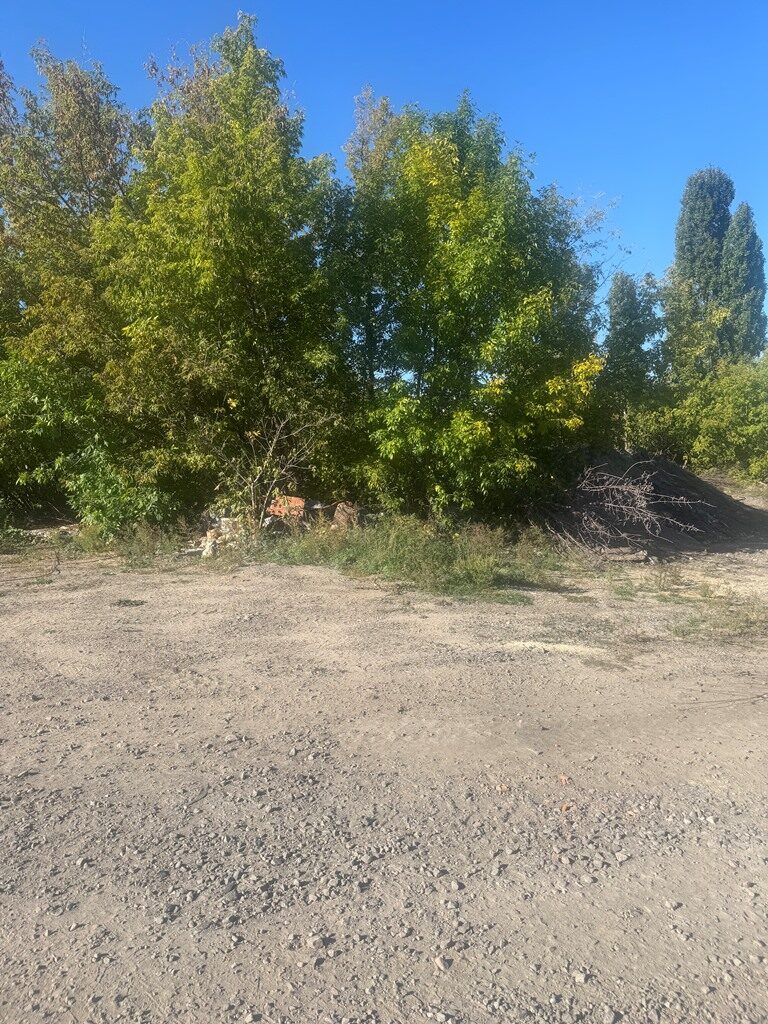 Комерція — лот №1273744