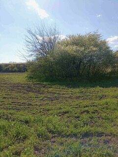 С/Х — лот №1276149