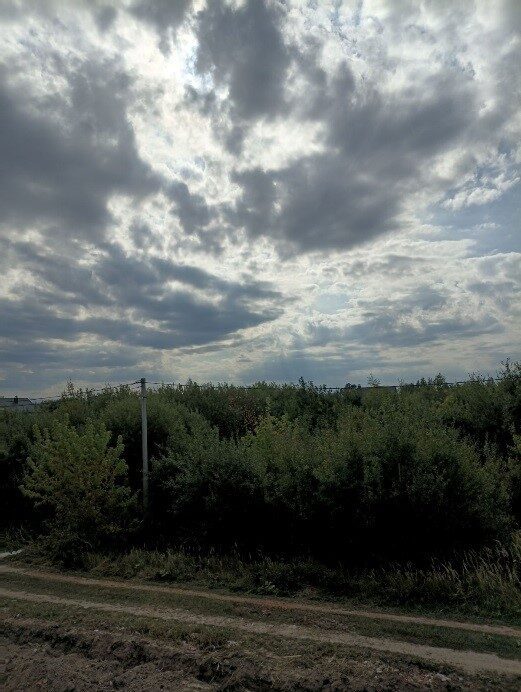 Комерція — лот №1276386