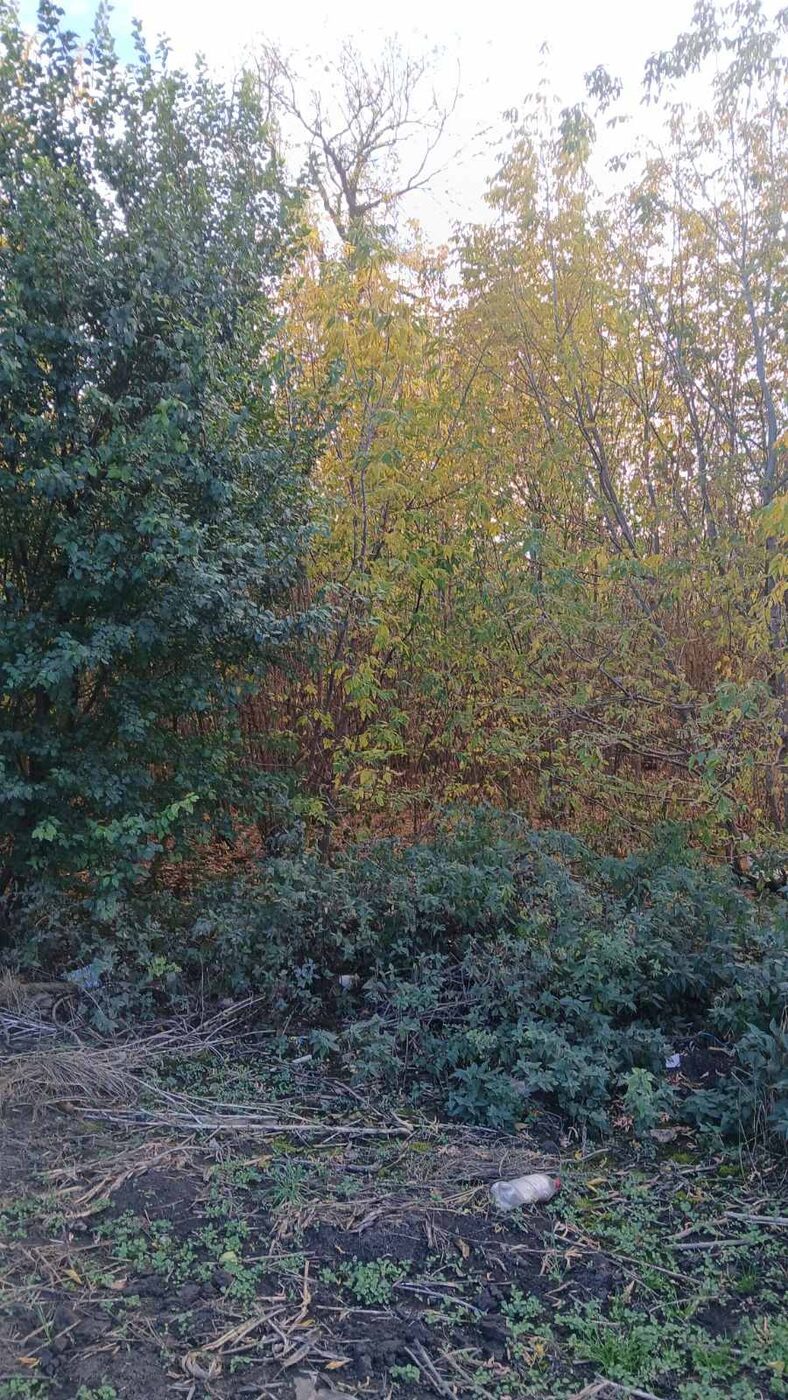 С/Х — лот №1277247