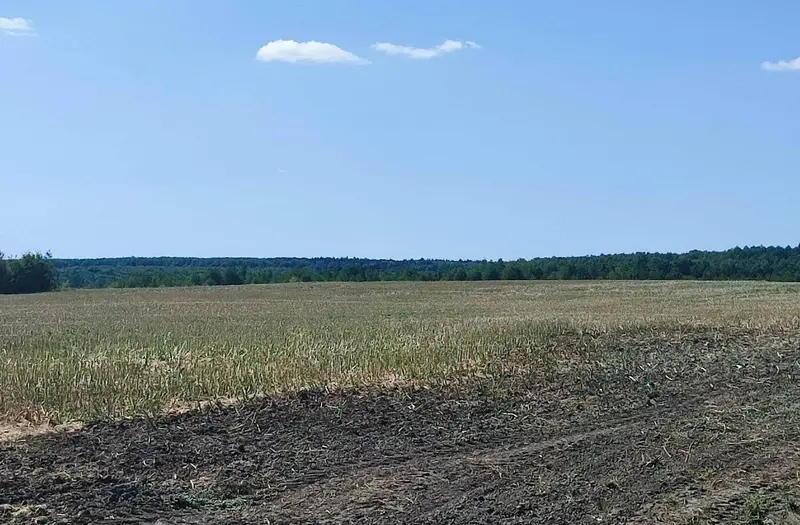 С/Х — лот №1261303