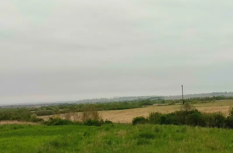 С/Х — лот №1261840