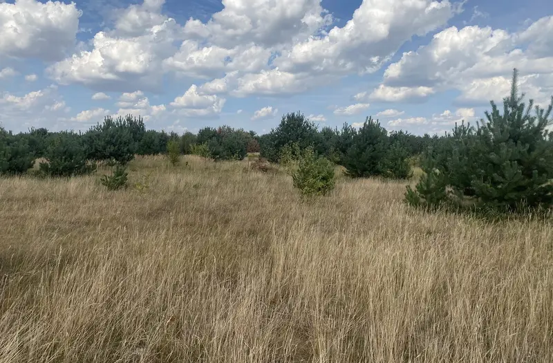 С/Х — лот №1261889