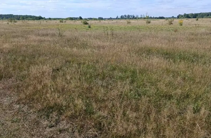 С/Х — лот №1261892