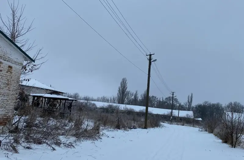 С/Х — лот №1262236