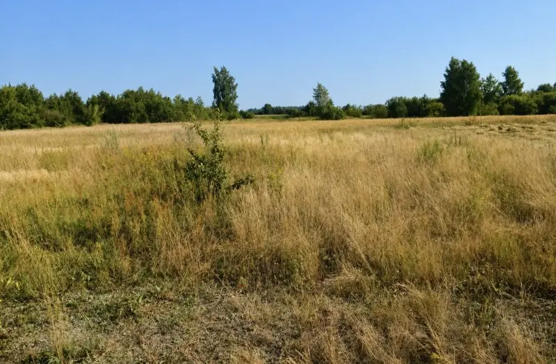 С/Х — лот №1261914