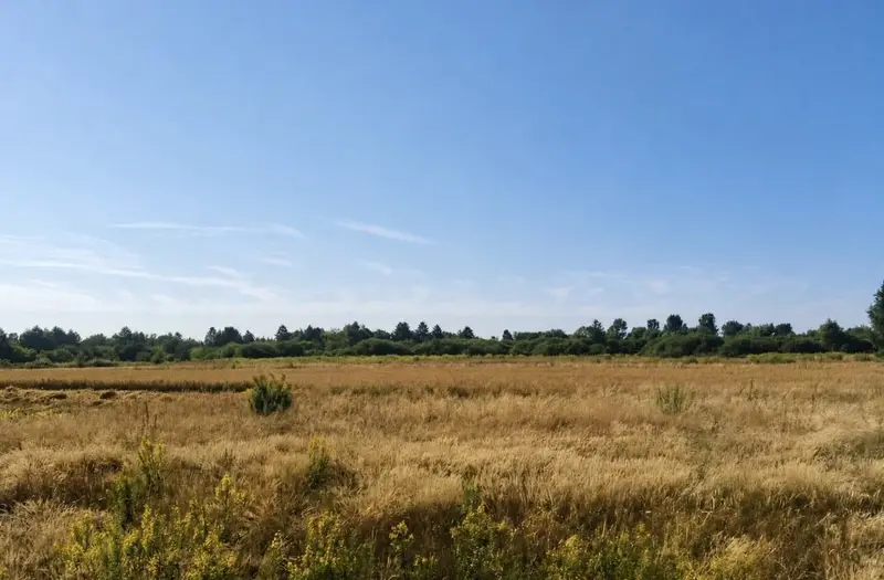 С/Х — лот №1261918