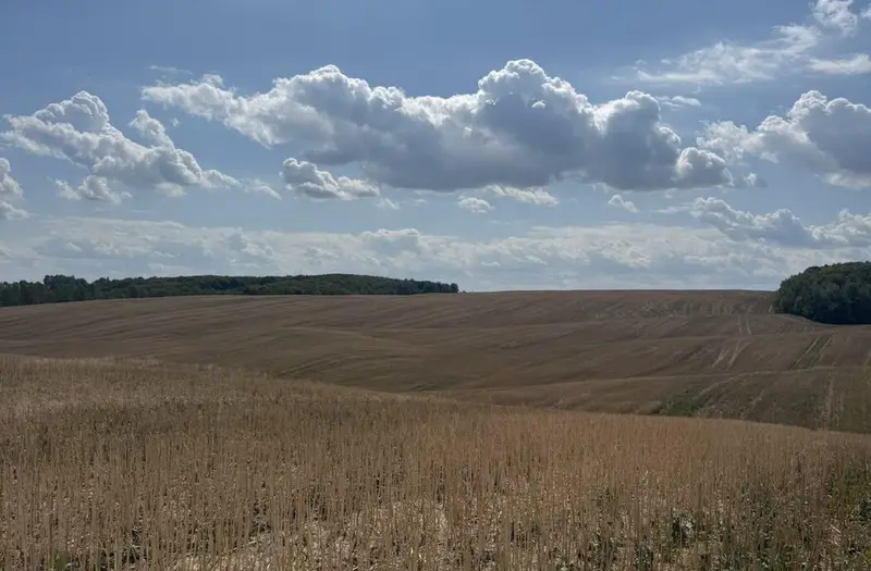 С/Х — лот №1261929