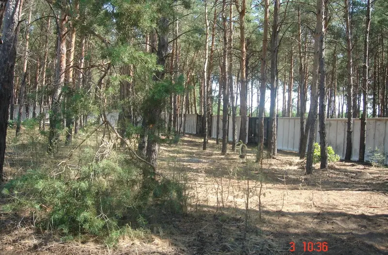 Комерція — лот №1262478