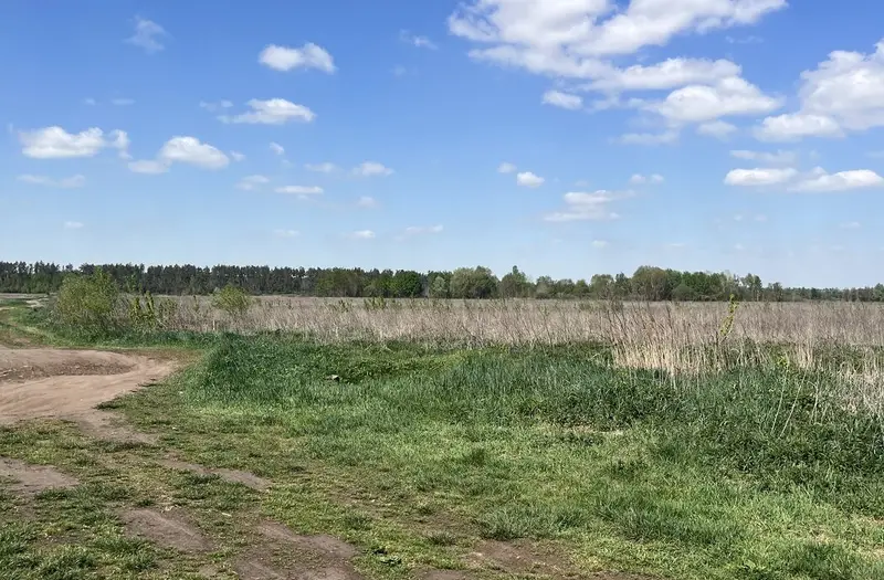 С/Х — лот №1262619