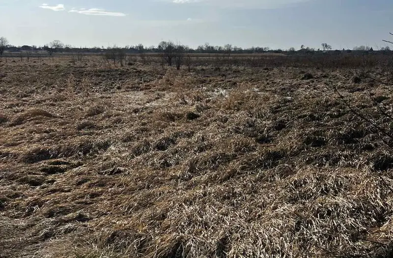 С/Х — лот №1262681