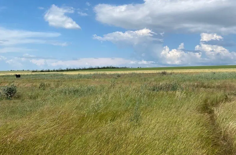 Житлова — лот №1262791