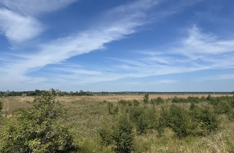 С/Х — лот №1262805