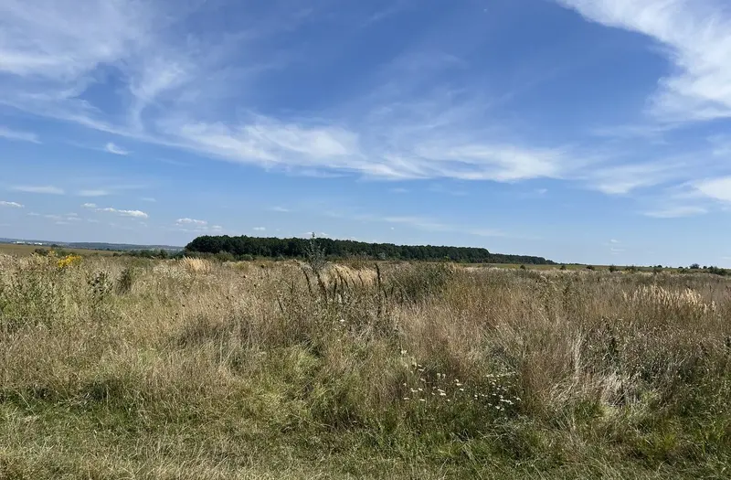 С/Х — лот №1262810