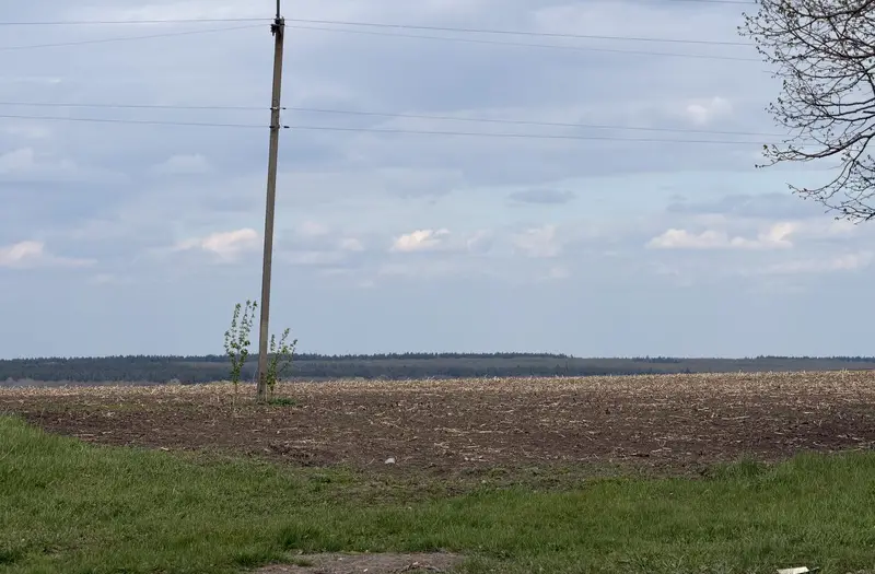 С/Х — лот №1262838