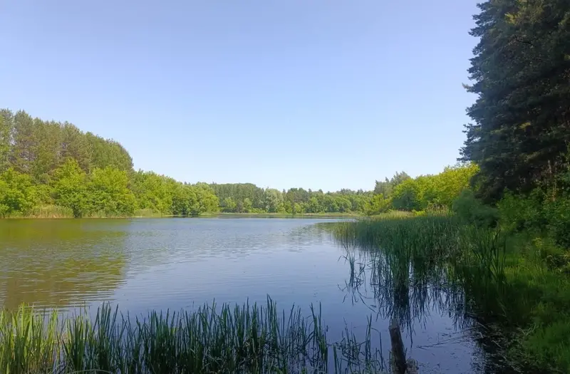 С/Х — лот №1262951