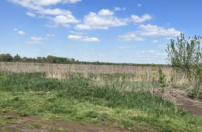 С/Х — лот №1263328