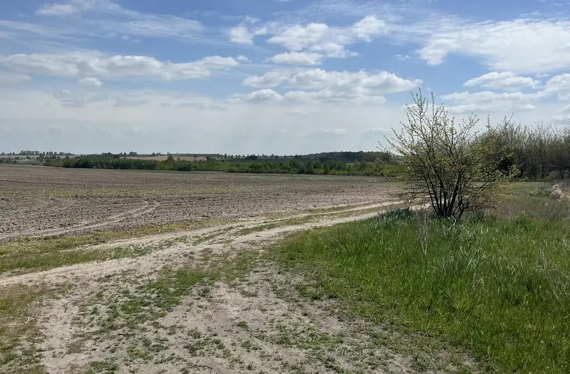 С/Х — лот №1263590