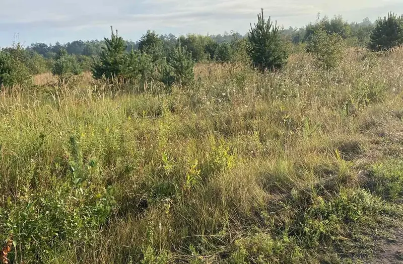 С/Х — лот №1263802
