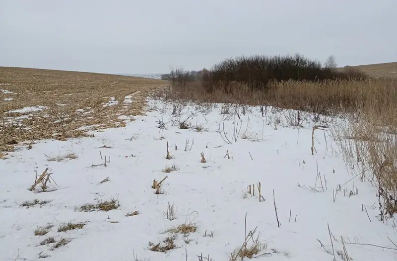 С/Х — лот №1264466
