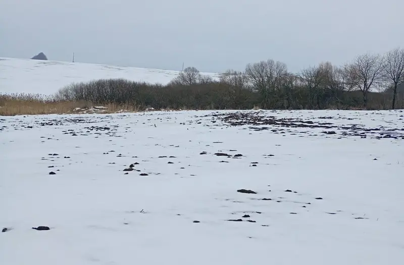 С/Х — лот №1264470