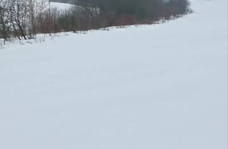 С/Х — лот №1264471