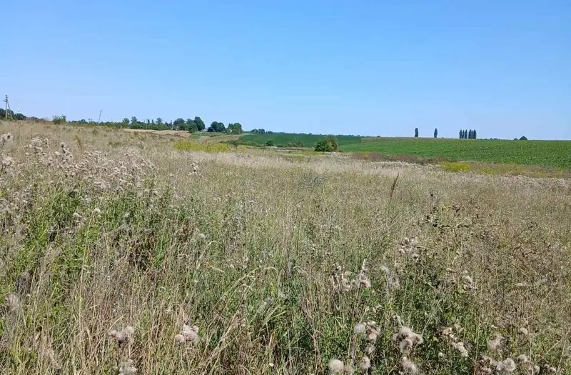 С/Х — лот №1264483