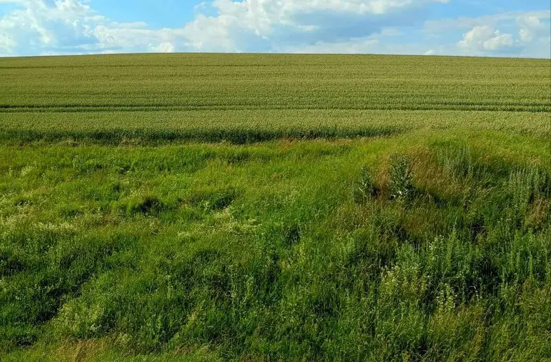 С/Х — лот №1264686