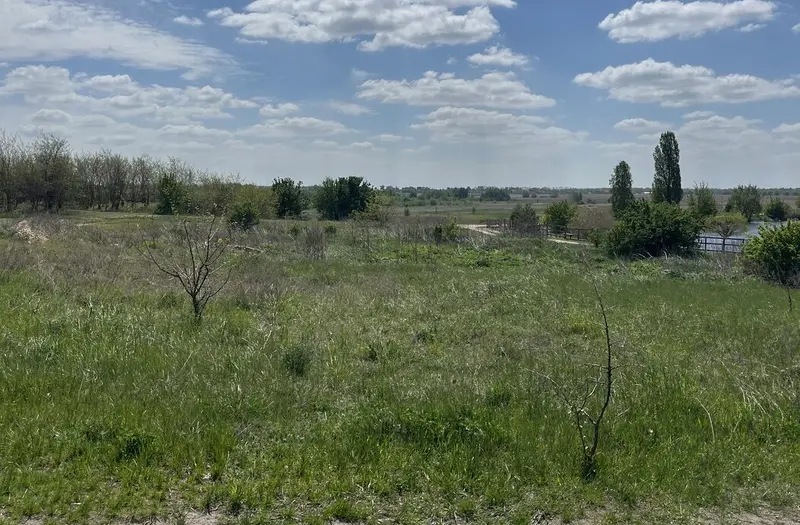 С/Х — лот №1264786