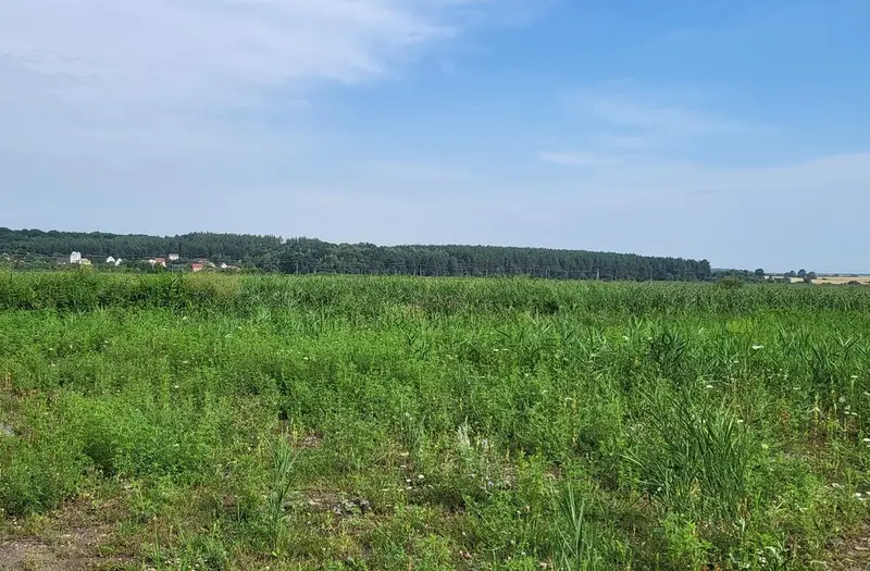 С/Х — лот №1265251