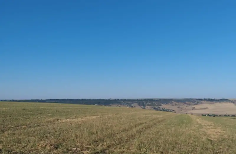 С/Х — лот №1265200