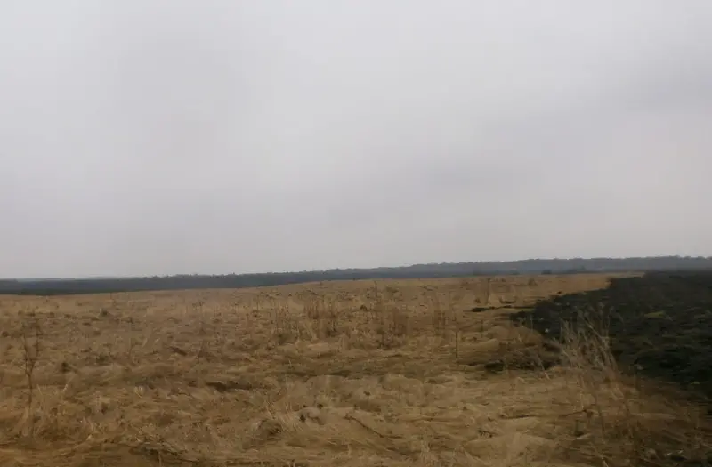 Пром — лот №1264918