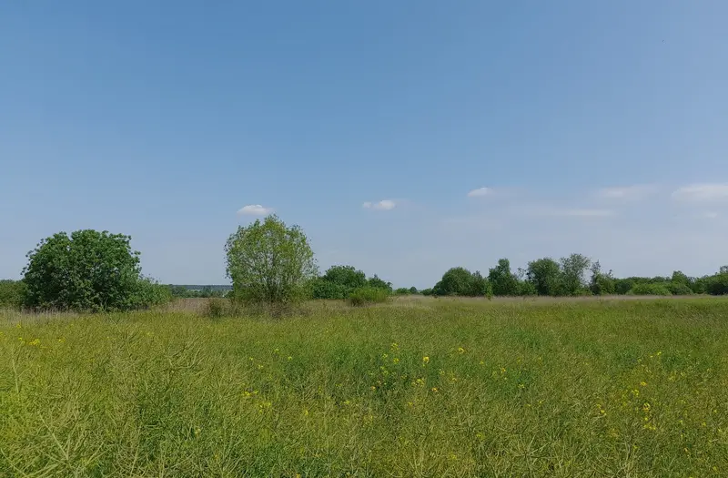 С/Х — лот №1264946