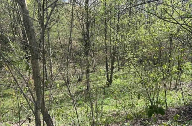 Житлова — лот №1264955