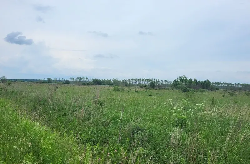 С/Х — лот №1264958