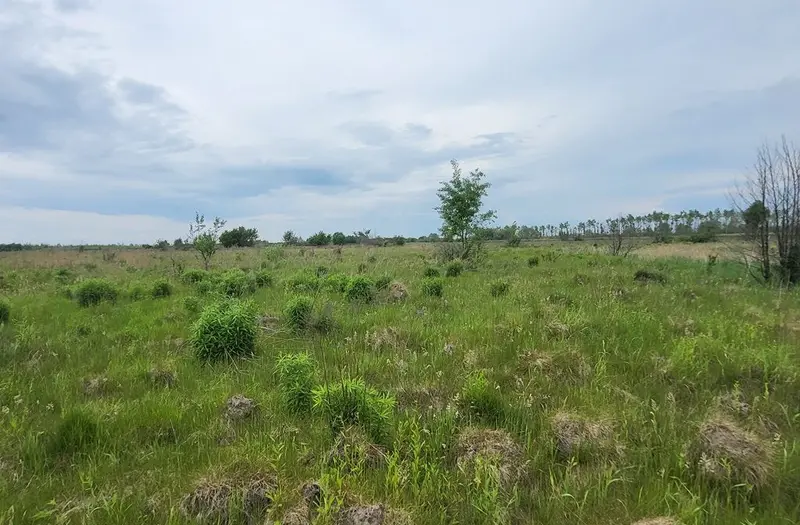 С/Х — лот №1264960