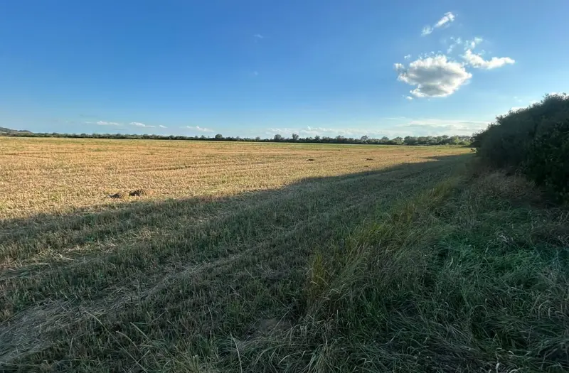С/Х — лот №1265223