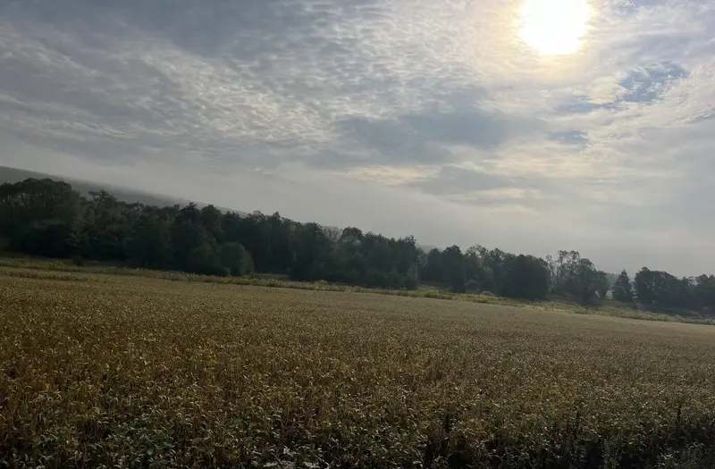 С/Х — лот №1265244