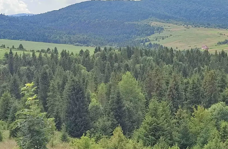 С/Х — лот №1265323
