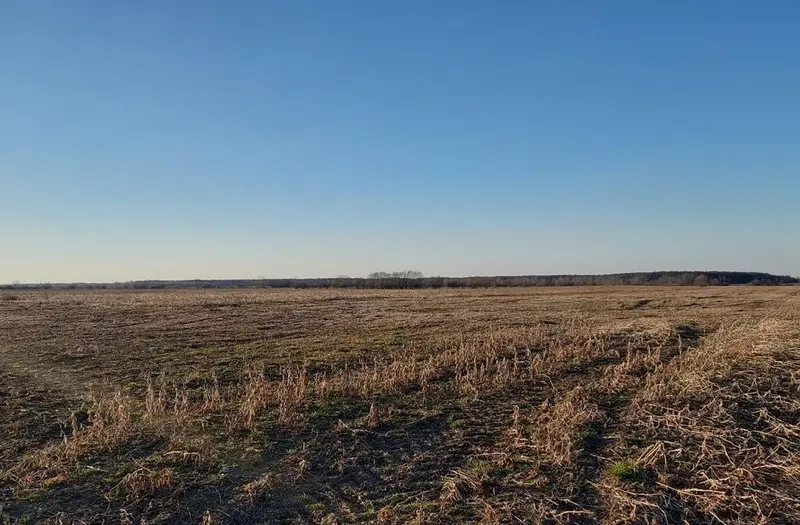 С/Х — лот №1265424