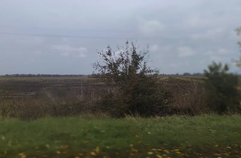 С/Х — лот №1265678