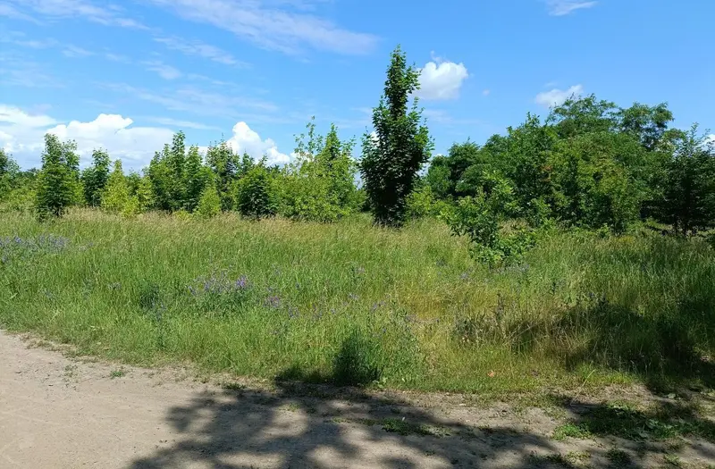 Житлова — лот №1265786